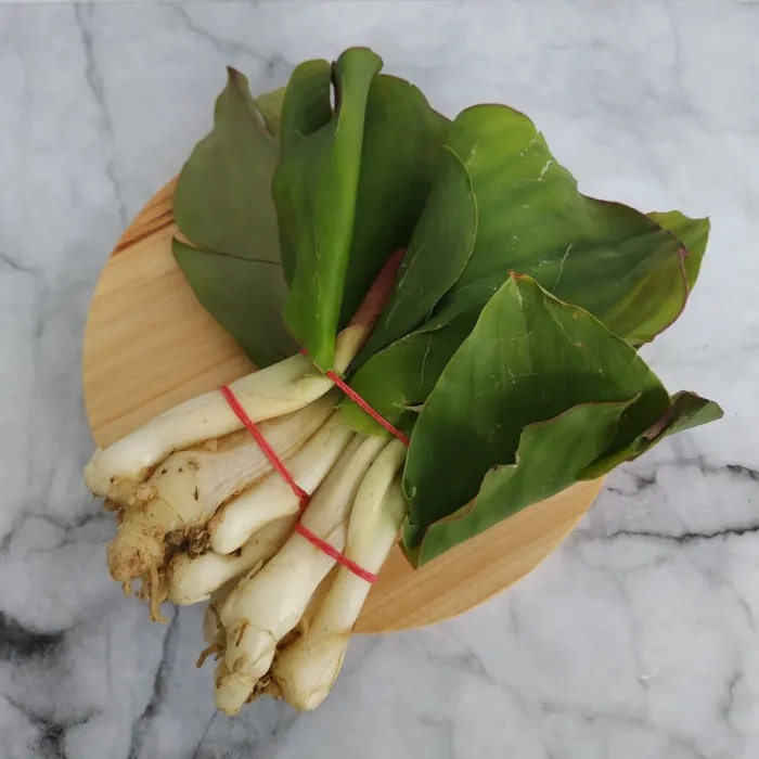 

Daun Kencur per ikat KIRIM INSTANT