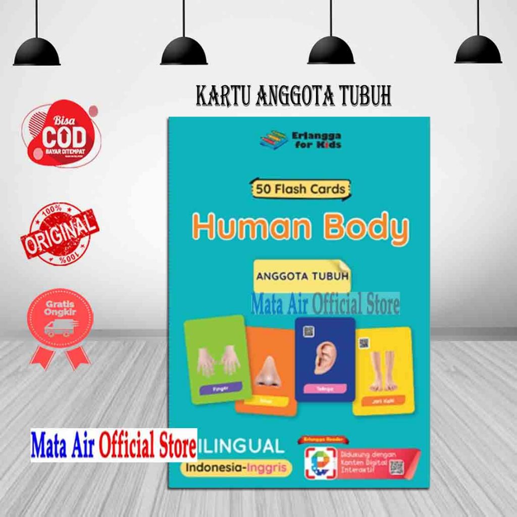 ORIGINAL 50 FLASH CARDS KARTU ANGGOTA TUBUH BILINGUAL - ERLANGGA FOR KIDS
