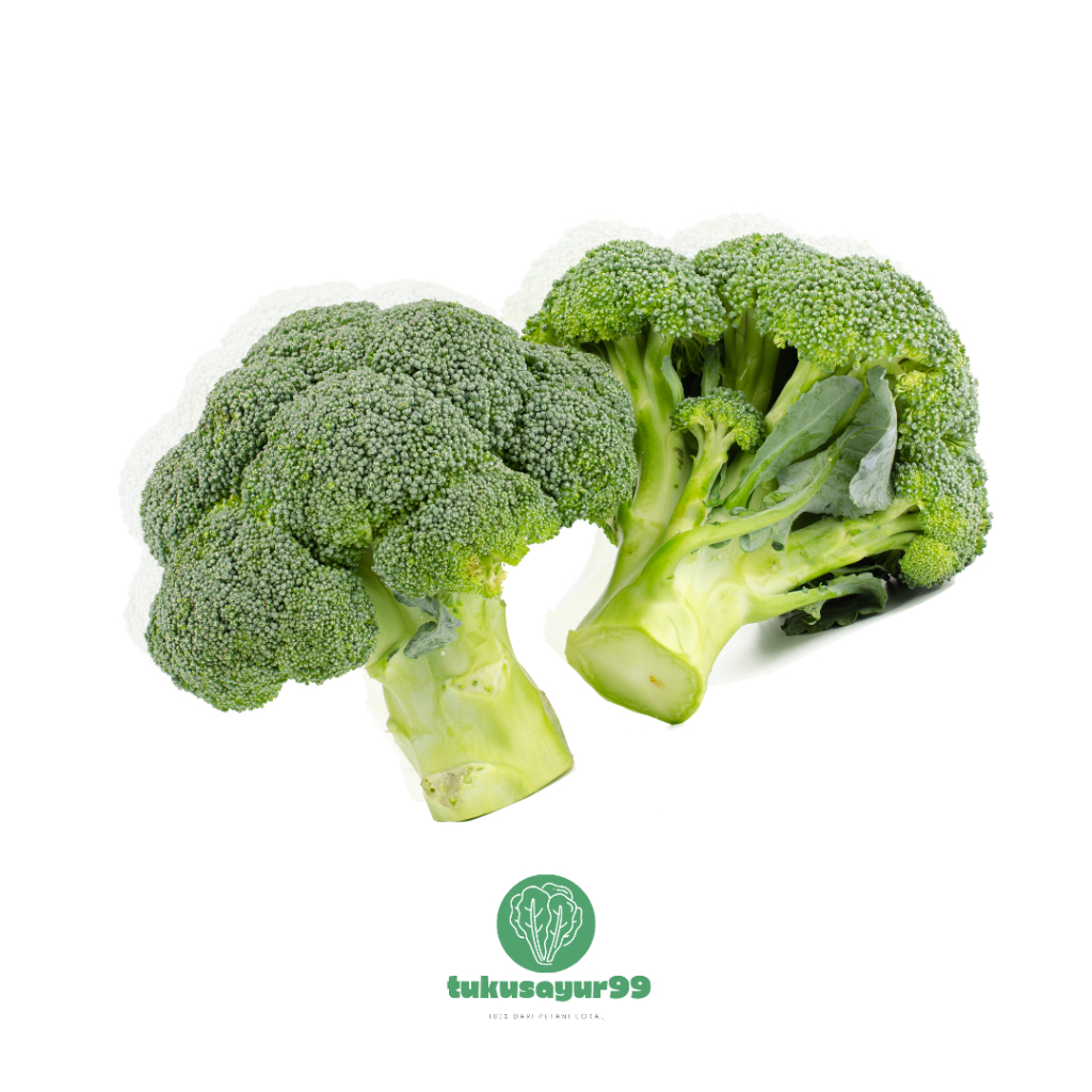 

Grosir Hemat Brokoli Segar Lokal Kualitas Terbaik 250 gram 500 gram