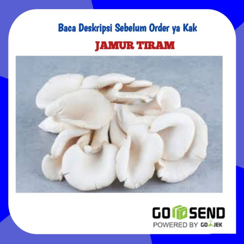 

Jamur Tiram Per 250gram - Toko Sayur Segar Palembang