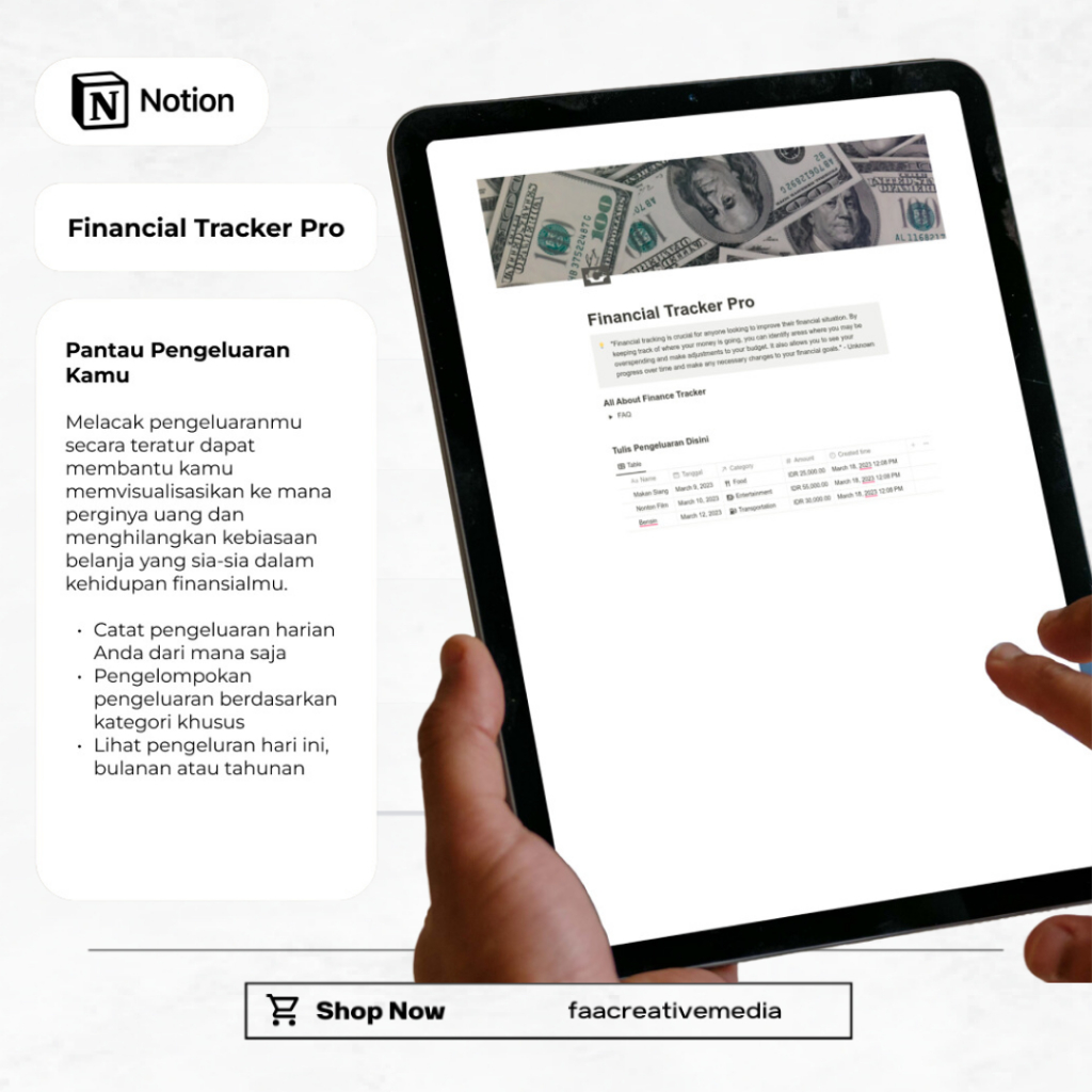 Notion Financial Tracker Lite Template
