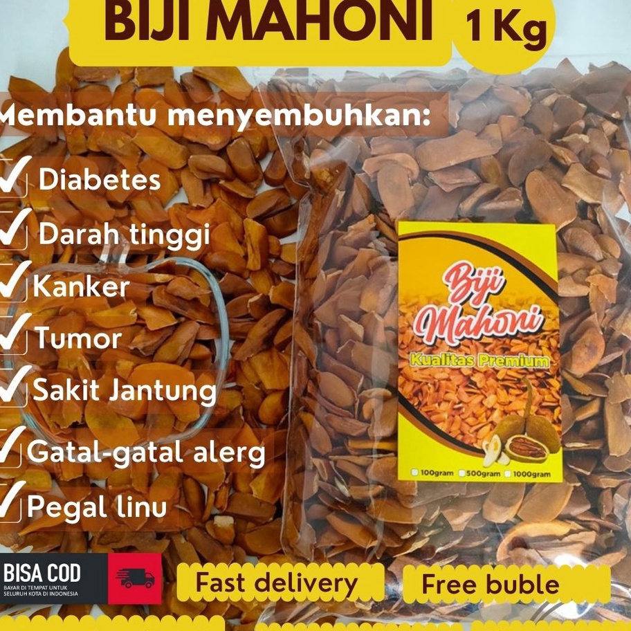

READY STOK biji mahoni 1kg