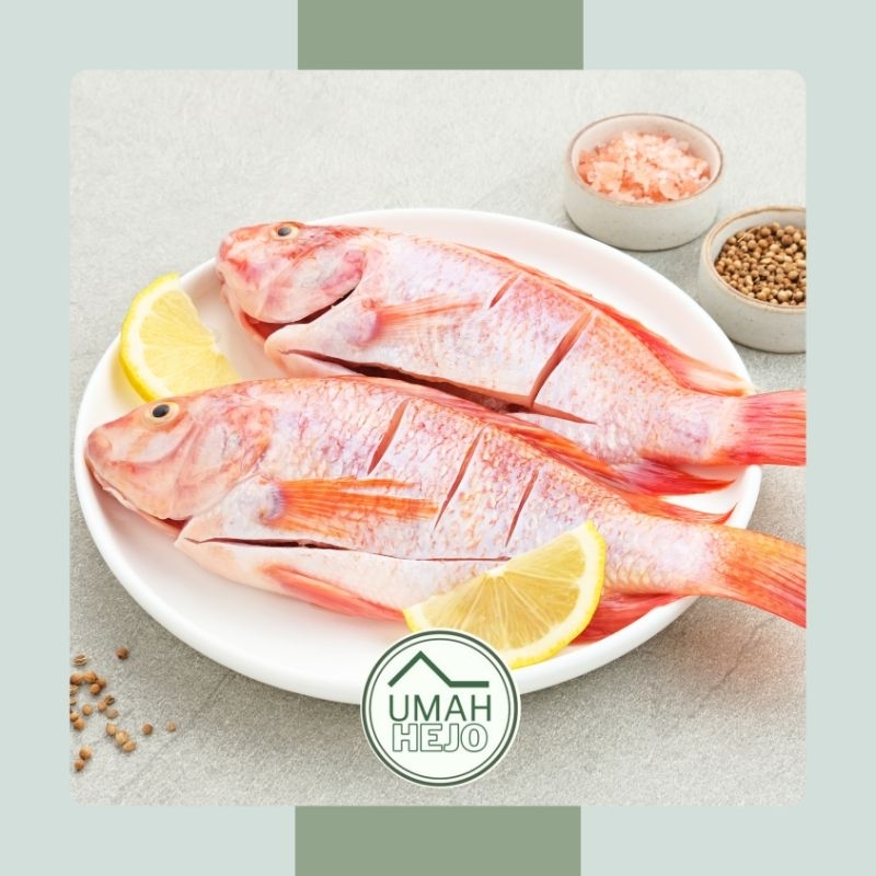 

IKAN NILA MERAH SEGAR | IKAN NILA MERAH FRESH - 500GR