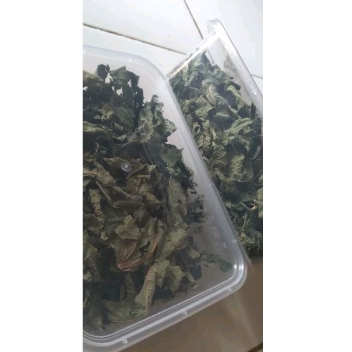 

DAUN POHON TIN KERING / TEH DAUN TIN