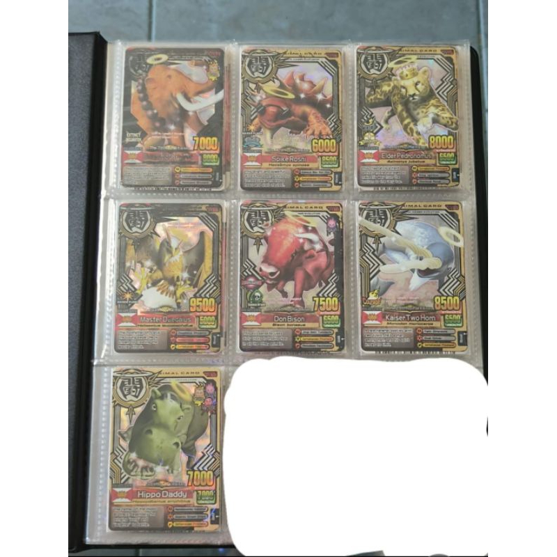 BORONGAN KAISER ANIMAL