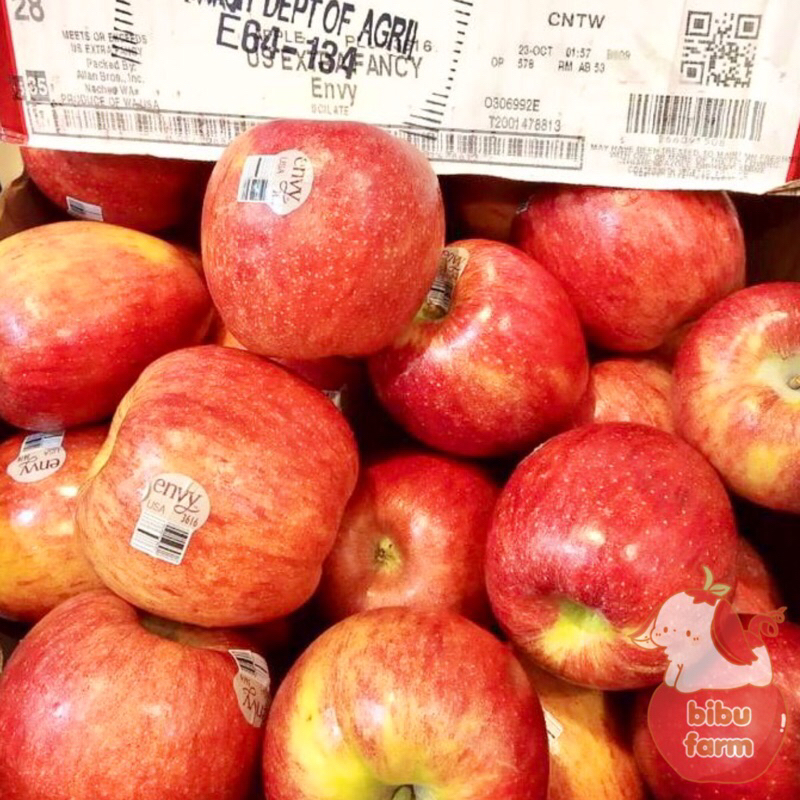 

Apel Envy New Zealand Size 28 Berat/Kilogram