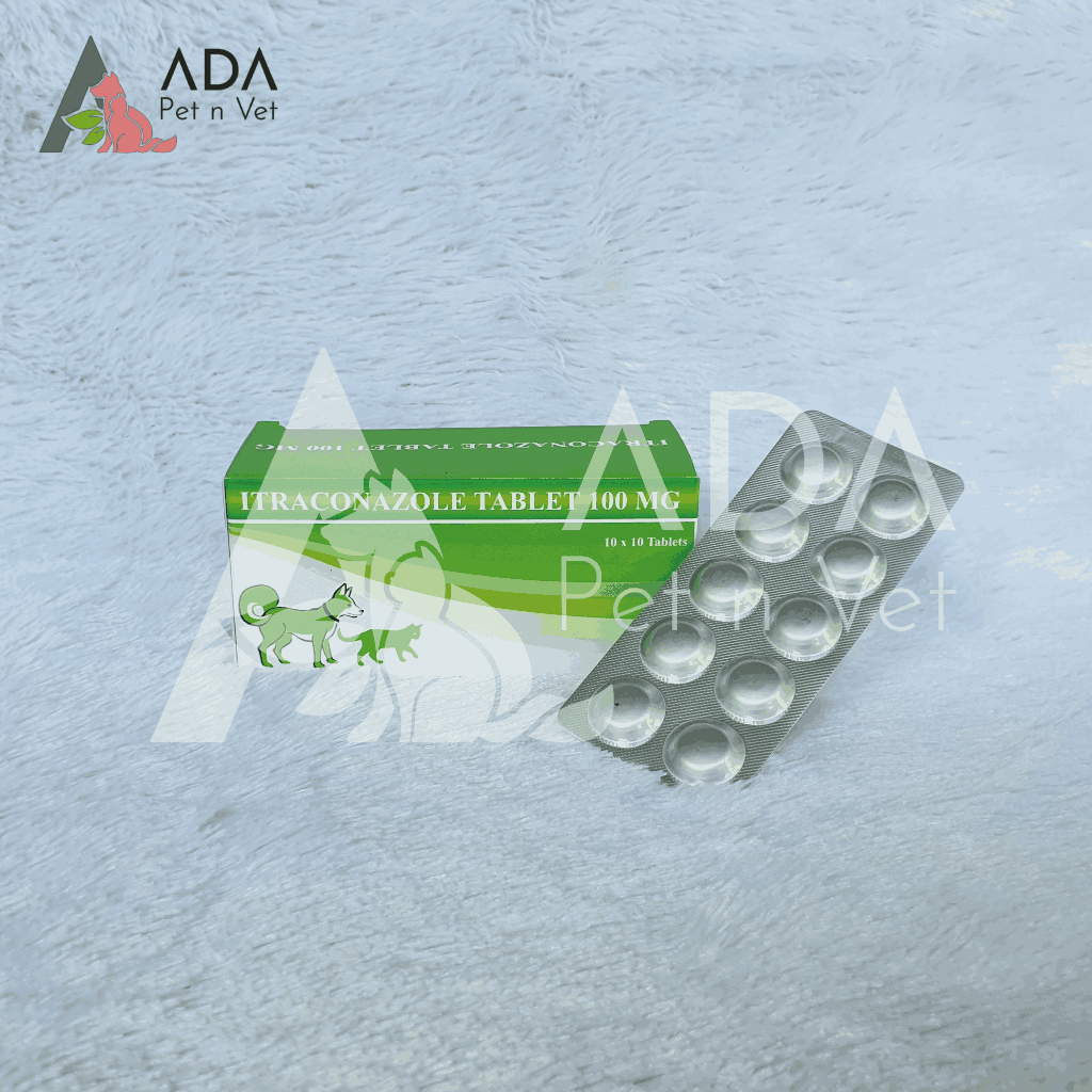 Itraconazole 100mg Antibiotik Untuk Gatal Pada Anjing dan Kucing  (1 TABLET)