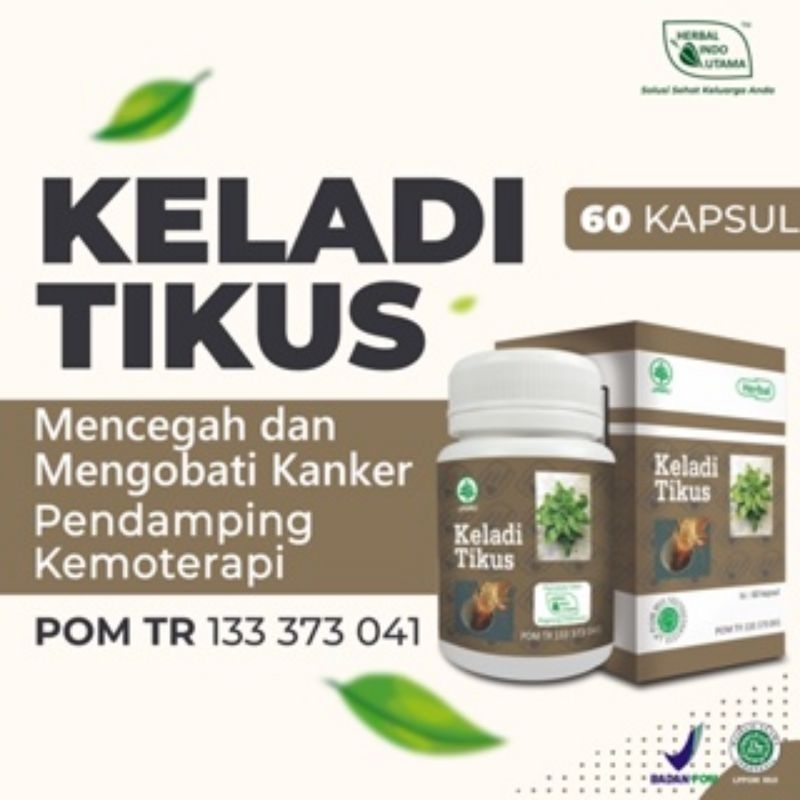 KAPSUL KELADI TIKUS ISI 60 KAPSUL ORIGINAL # HERBAL KAPSUL KELADI TIKUS ORIGINAL GROSIR GROSIR