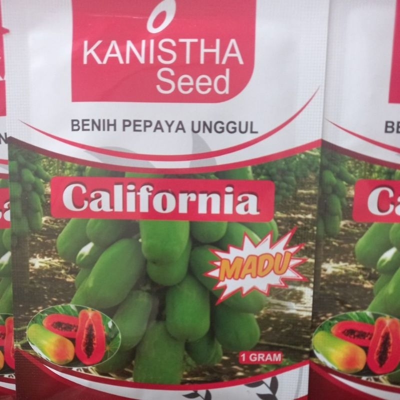 Benih Pepaya Unggul California Madu 1 gram