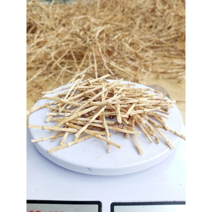 

AKAR ALANG ALANG KERING Premium Imperata Cylindrica MURNI