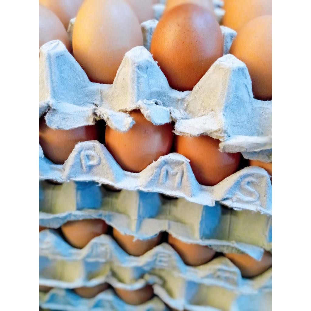 

Telur Telor Ayam Negeri Fresh
