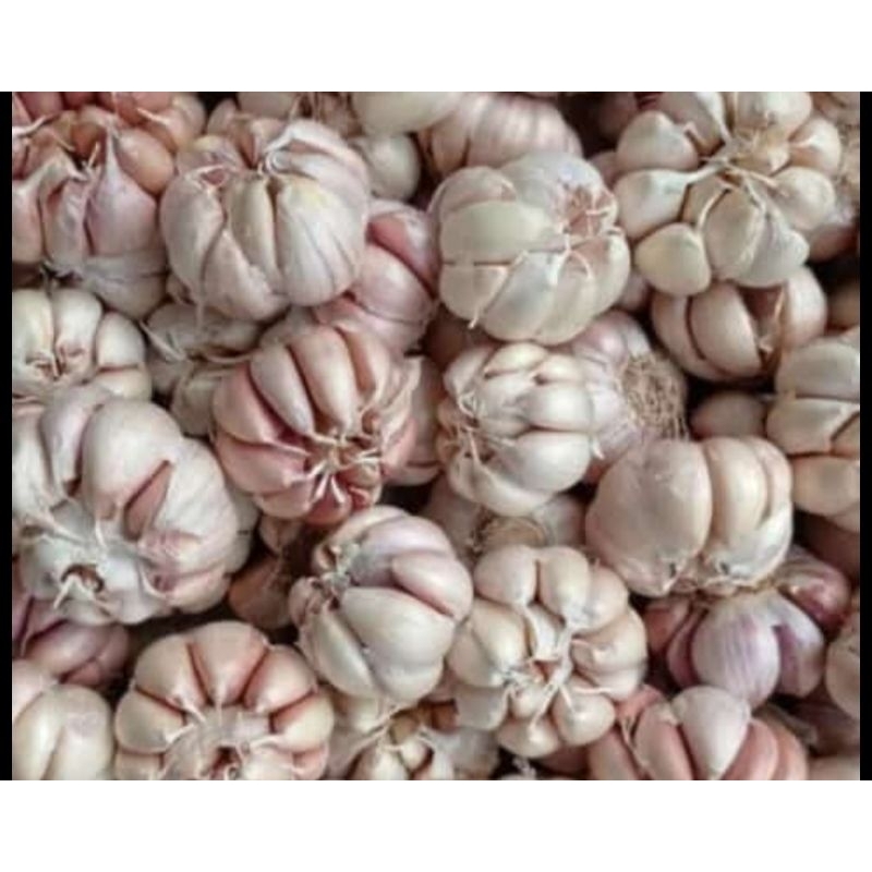 

bawang putih 1kg
