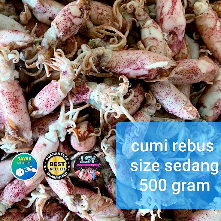 

99 BRANDS FESTIVAL ikan asin Cumi rebus sotong rebus size sedang 5gr