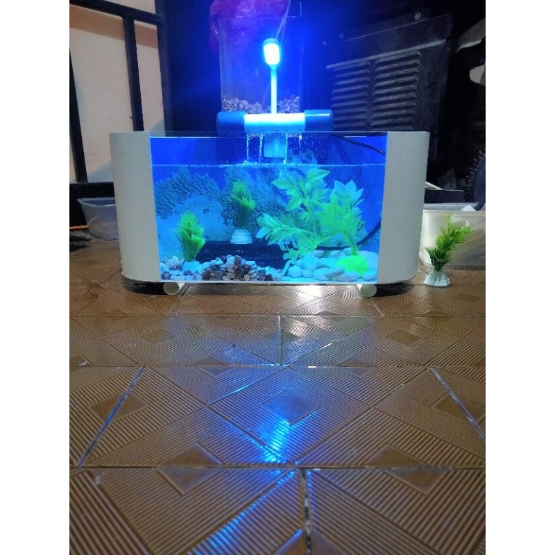 Akuarium mini air terjun