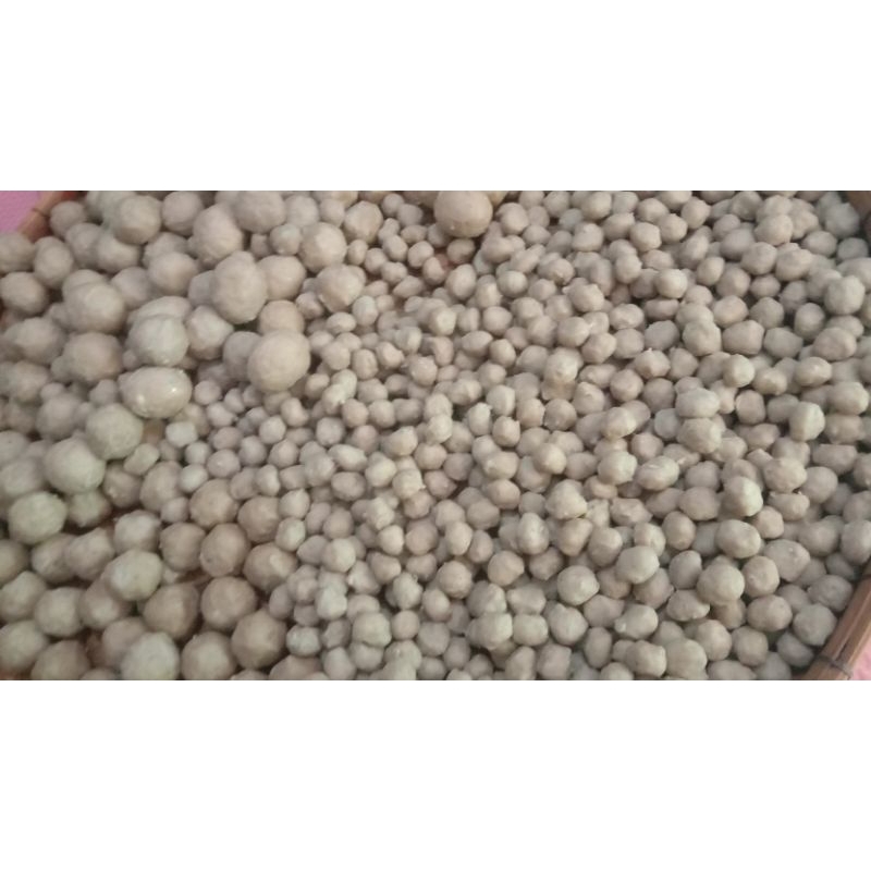 

BAH Bakso Sapi Kecil Isi 100 Butir Gratis Bumbu Kuah #Homemade
