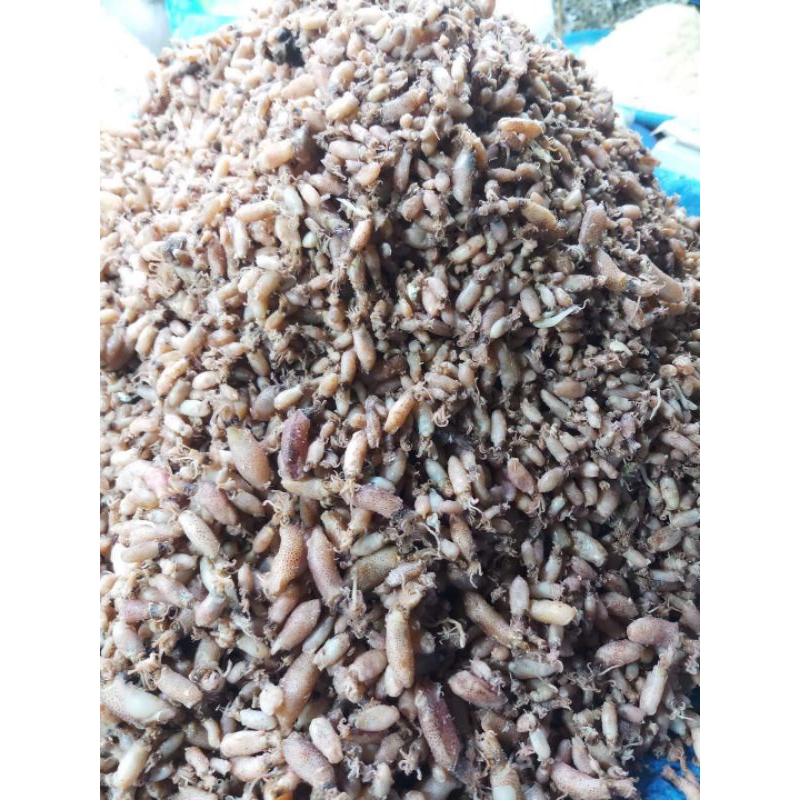 

baabyy cuumii super promo