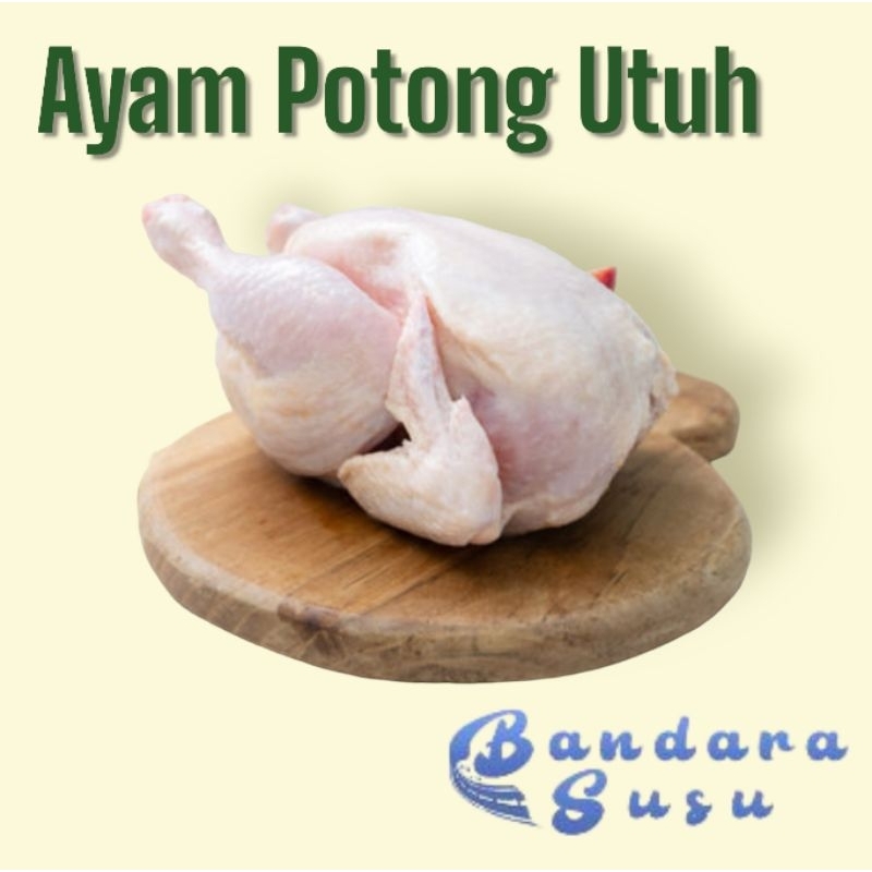 

Ayam Karkas / Ayam Broiler Utuh / Ayam Potong