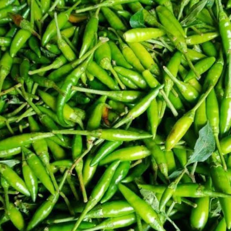 

Swip up Cabai Cabe Rawit Hijau per KG