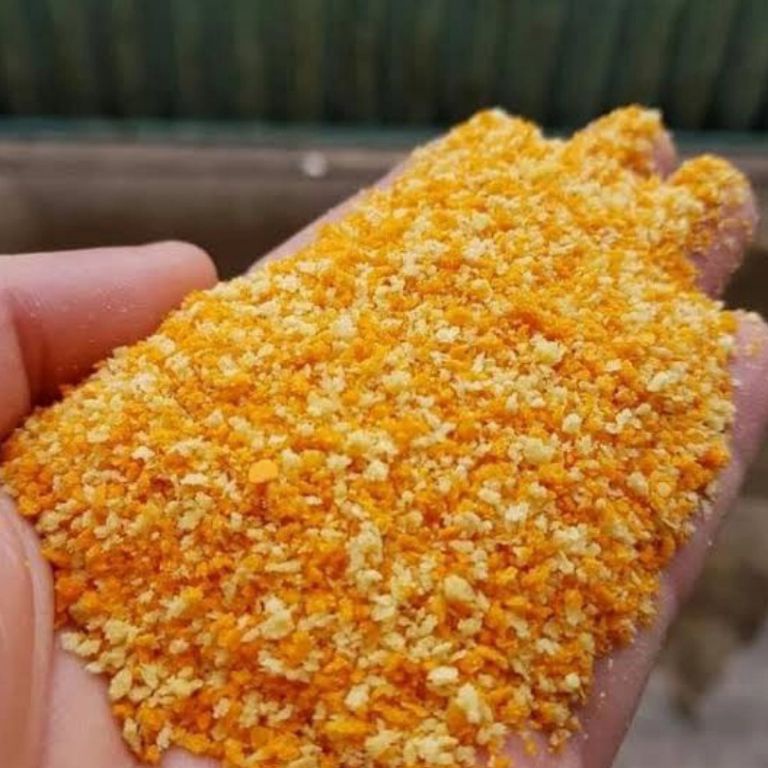 

XPRESS Tepung roti 1kg Tepung panir 1gram