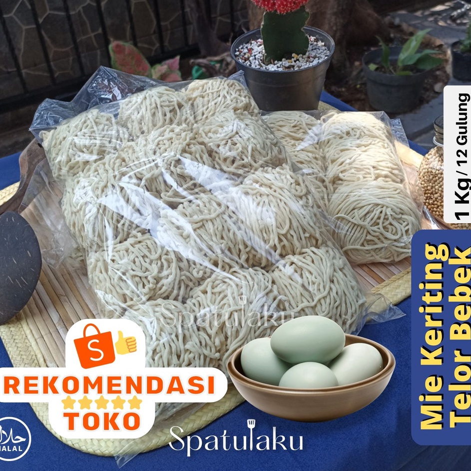 

DISKON Mie Mentah Keriting Special Telur Bebek Untuk Mie Ayam Bakmie dll