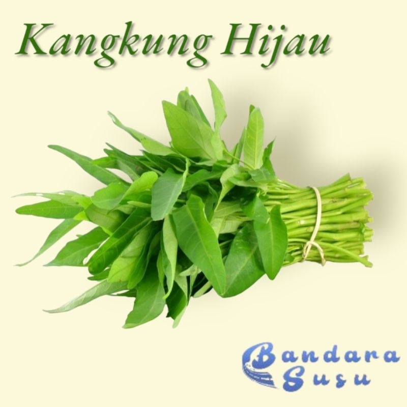 

Kangkung Per Ikat Sayur Segar