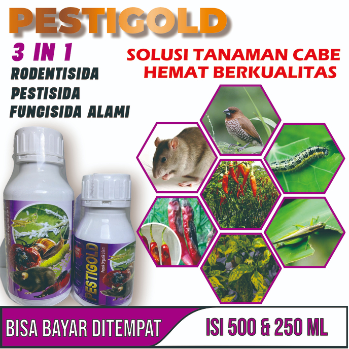 PESTIGOLD PUPUK ORGANIK ANTI HAMA PADA TANAMAN CABE Obat cabe Keriting Obat Layu fusarium Pada Tanam