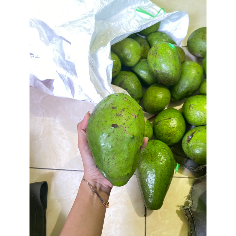 

alpukat mentega