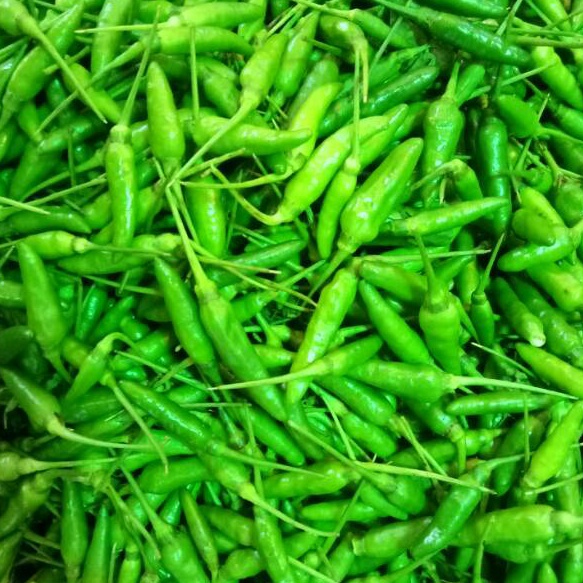 

Ready Stok Cabai Cabe Rawit Hijau 5 gr