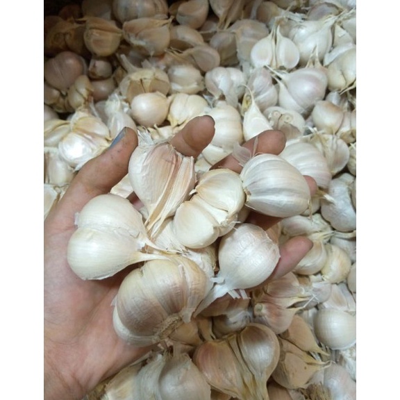 

PROMO ALE Bawang Putih Kating Bersih 1kg