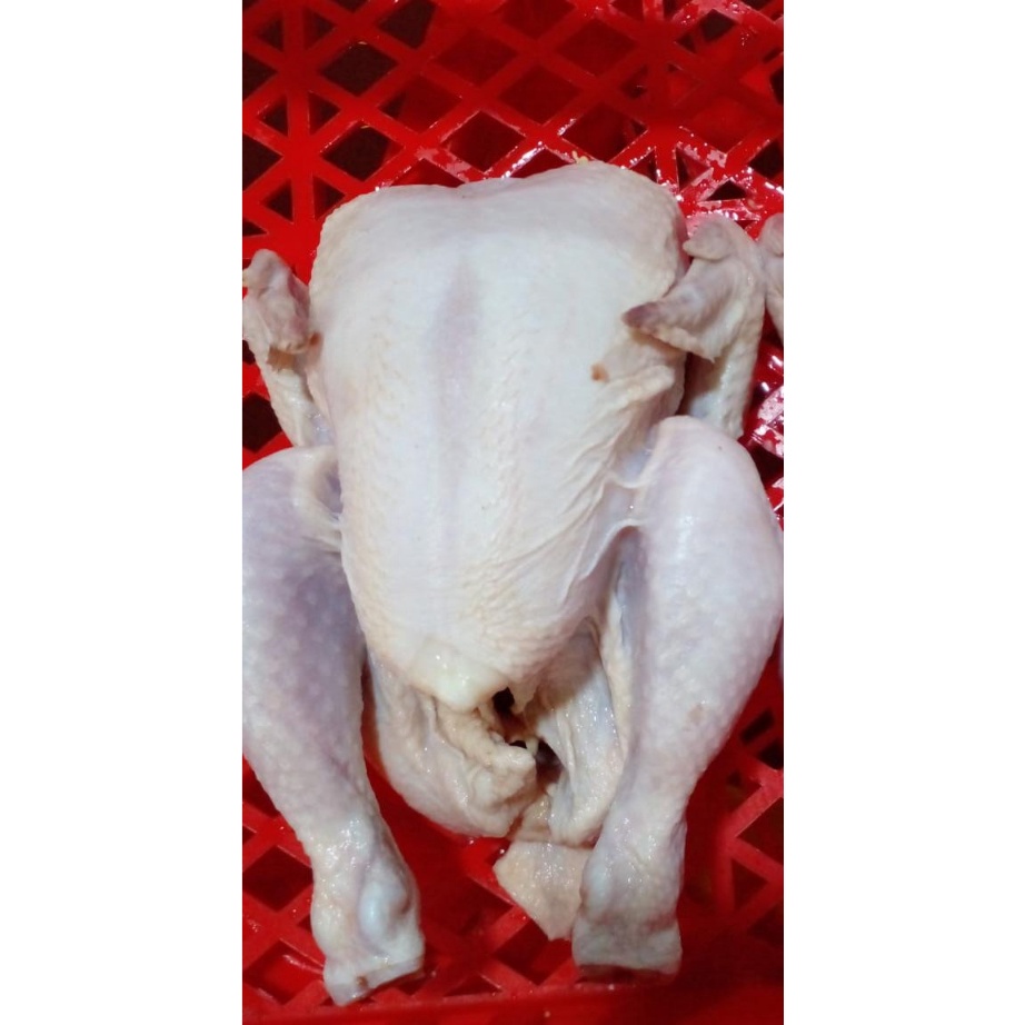 

SALE Ayam broiler 7 sd 8ayam frozenayam potong