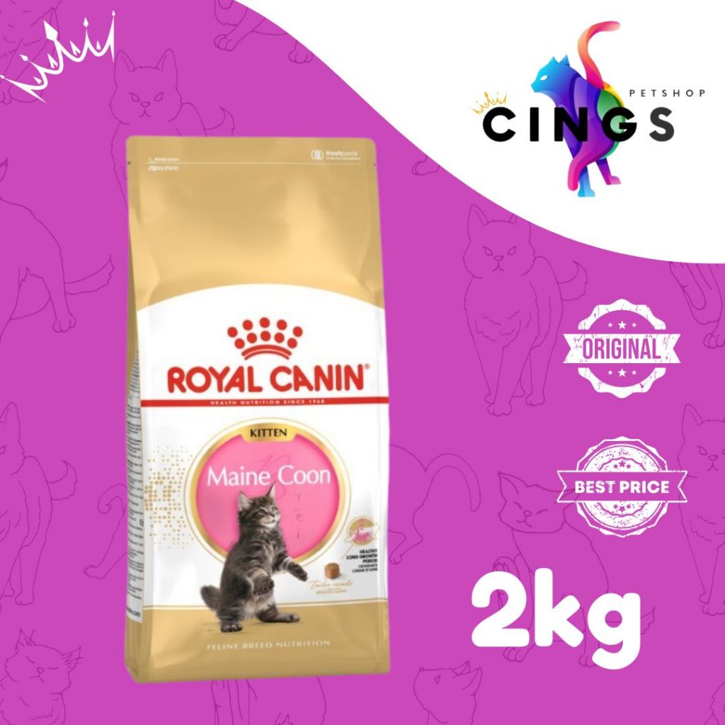 Royal Canin Maine Coon Kitten 2kg