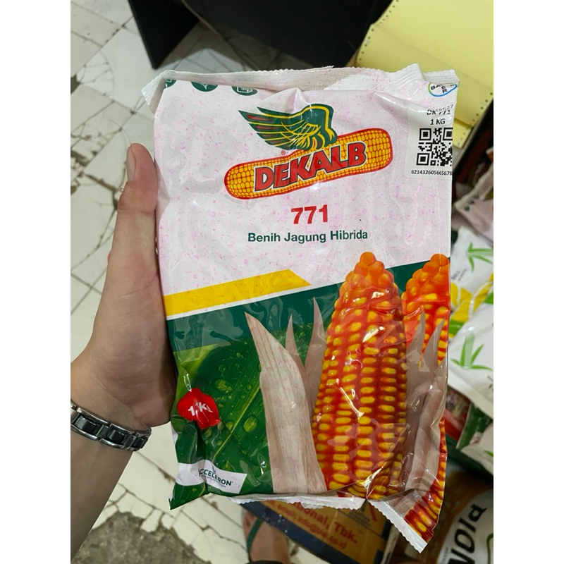 benih jagung DK771 bibit jagung bayer dk 771 kemasan 1kg exp 9/25