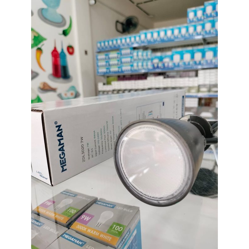 Lampu sorot taman tancap outdoor MEGAMAN 7watt