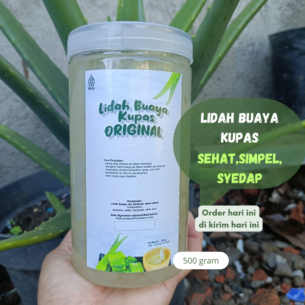 

LIDAH BUAYA KUPAS 500gr | Aloevera Gel Organik @serbavera