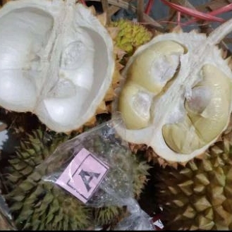 

DURIAN BALI KERANJANGAN ISI 10