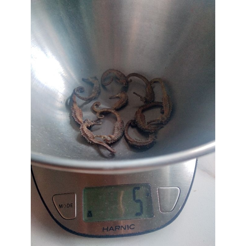 

KL HAI MA KERING 5GRAM