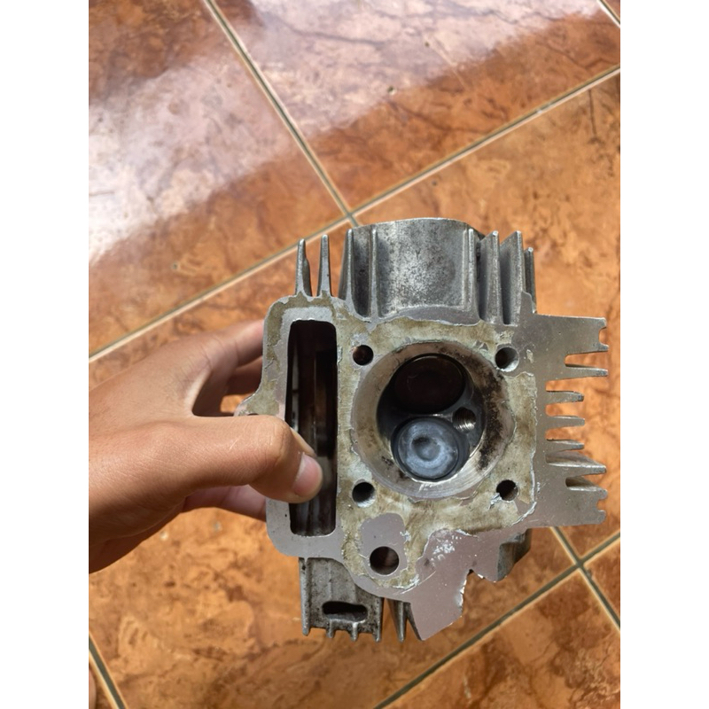 kop astrea grand klep shogun bles