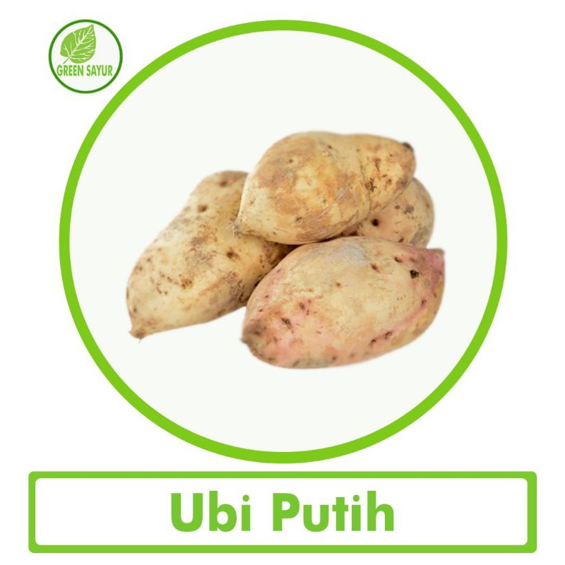 

Ubi Putih 500 Gram