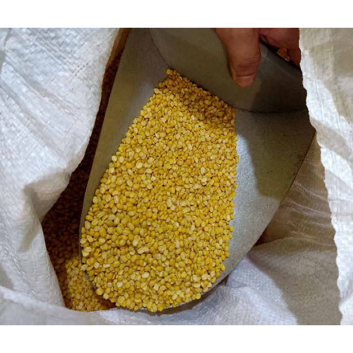 

Free Ongkir Kacang Hijau kupas Import 1Kg Kilogram Fresh Grade A