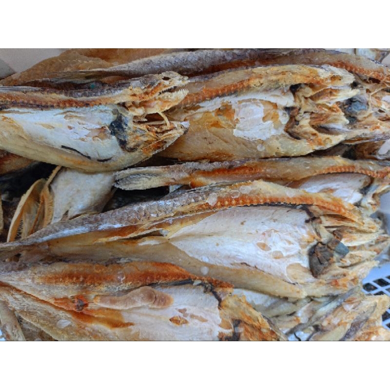 

Ikan Asin Gabus Laut 500gr