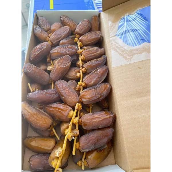 

KURMA TUNIS TANGKAI PREMIUM 1 DUS