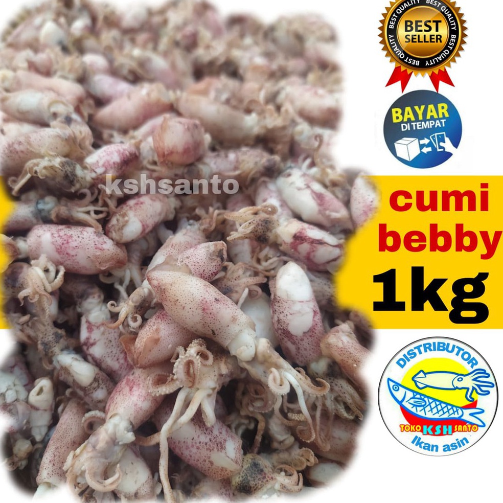 

NEW ikan asin cumi beby1kg