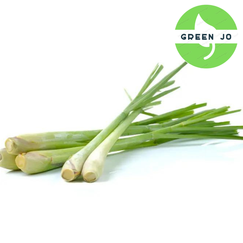 

Serai 1 ikat/Serai bumbu dapur