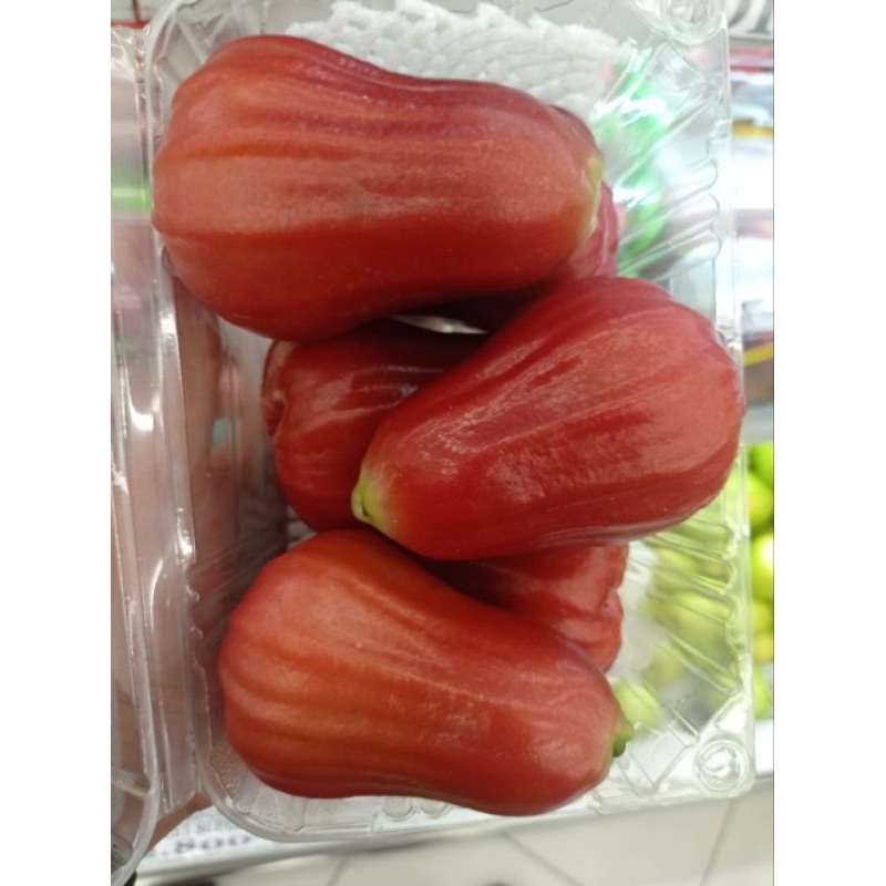 

Jambu air merah SUPER SWEET FRESH 500 gram