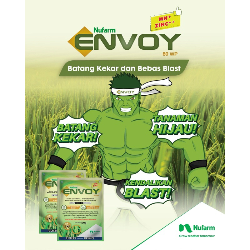 Fungisida Envoy 80WP