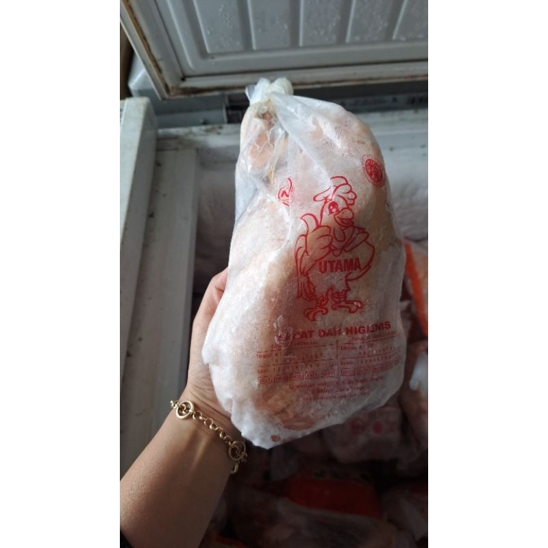 

ayam kampung frozen (pejantan)