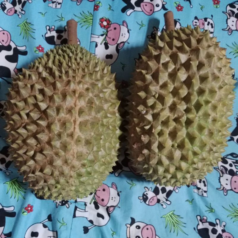

Buah Durian