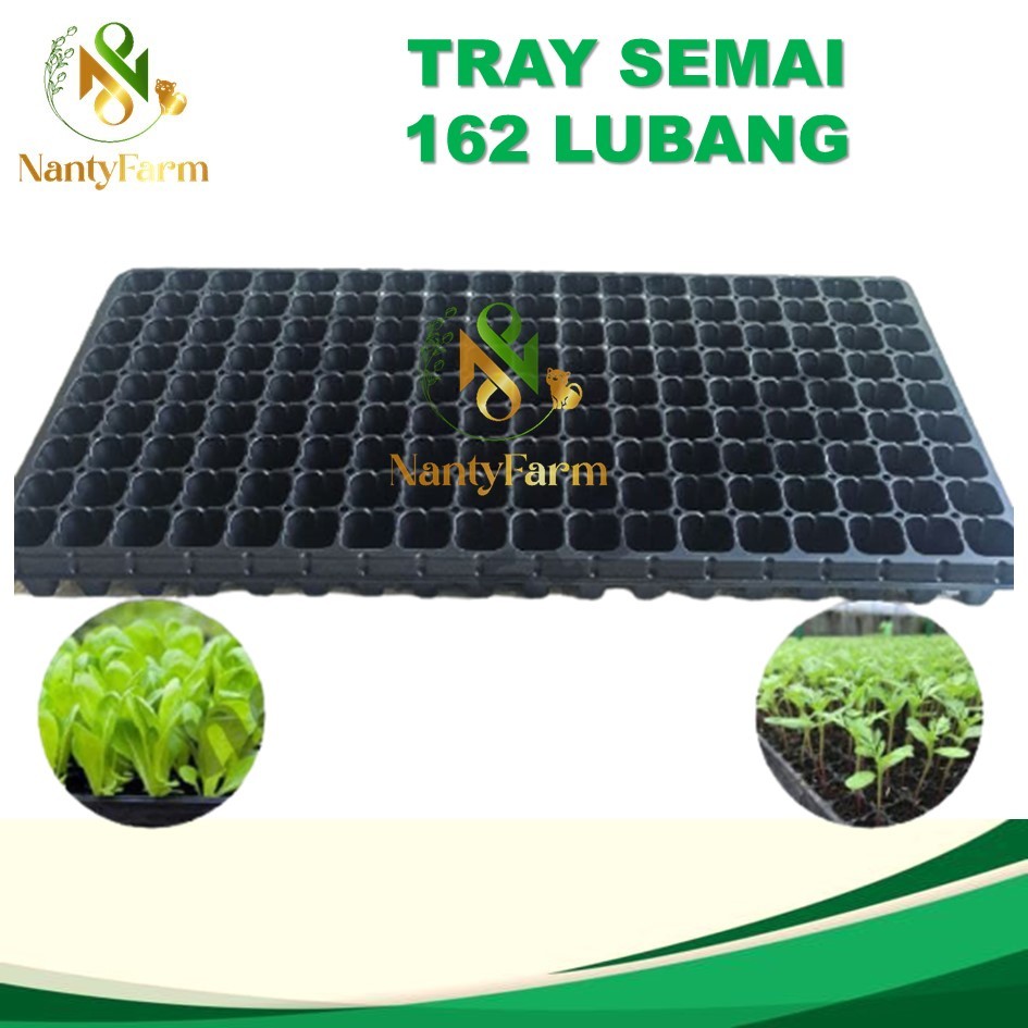 Tray Semai 162 Lubang Traypot Pot Bibit Tray Biji - Tray Semai 162 Lubang