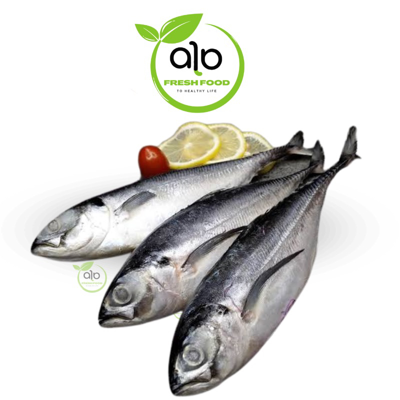 

Ikan Caru Segar 500gr/khusus Medan/Ikan Cengaru Tegang Ekor - ALO Fresh food