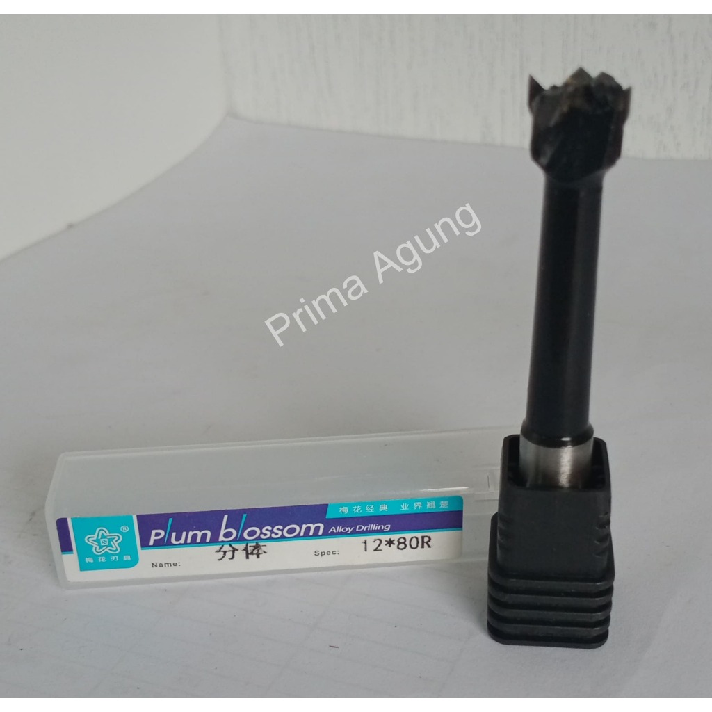 Mata Bor kayu Boring Bit As 10mm Panjang 80mm